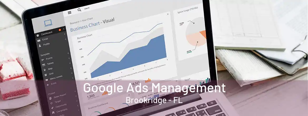 Google Ads Management Brookridge - FL