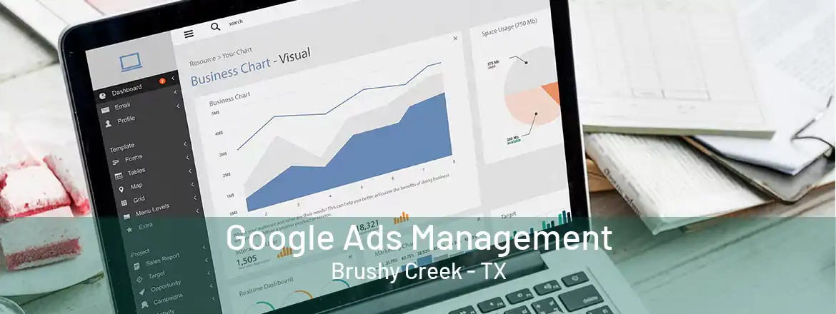 Google Ads Management Brushy Creek - TX