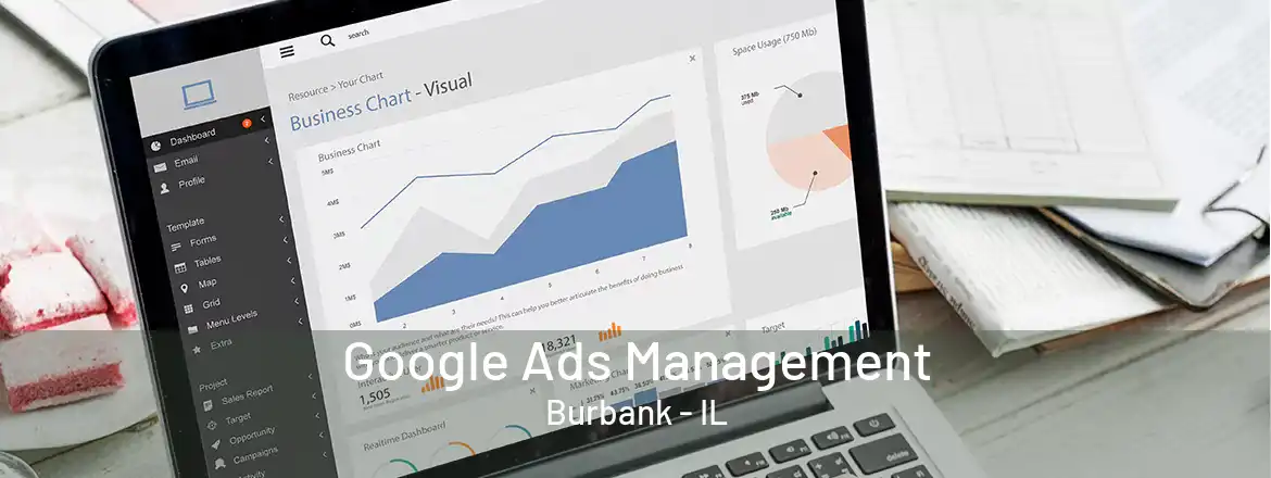 Google Ads Management Burbank - IL