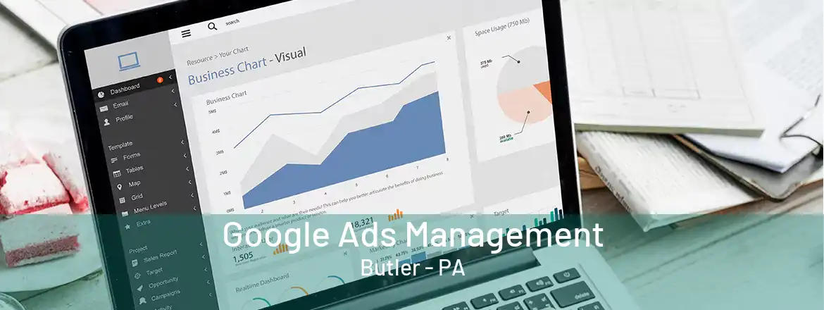 Google Ads Management Butler - PA