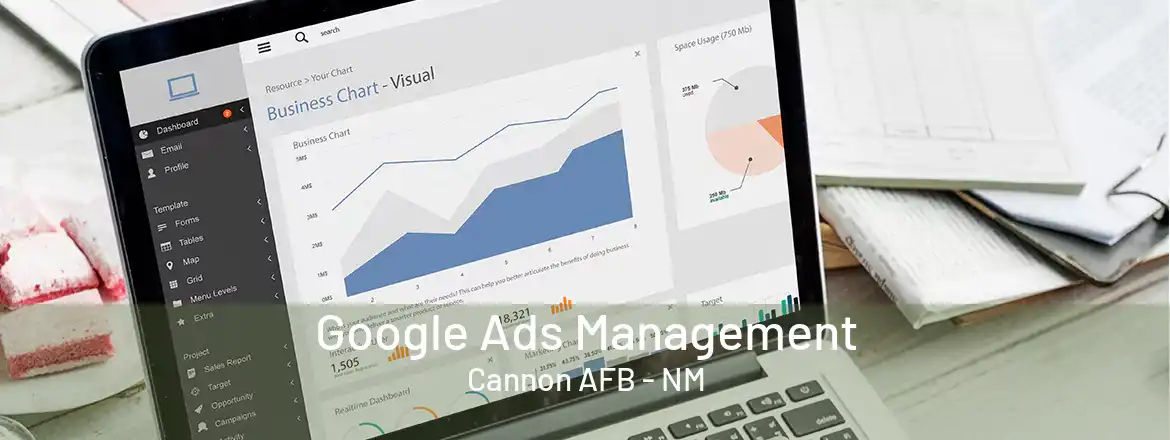 Google Ads Management Cannon AFB - NM