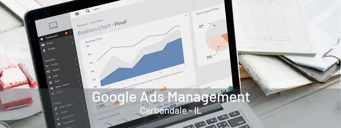 Google Ads Management Carbondale - IL