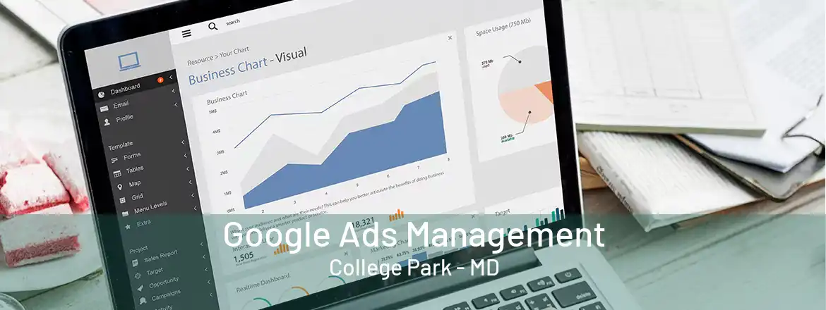  Google Ads Management College Park - MD