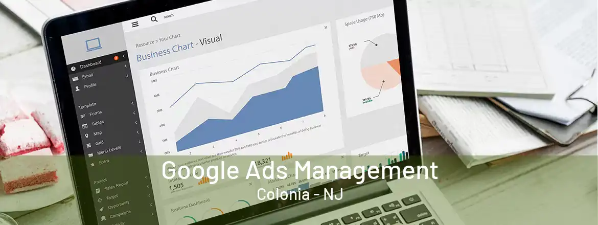 Google Ads Management Colonia - NJ