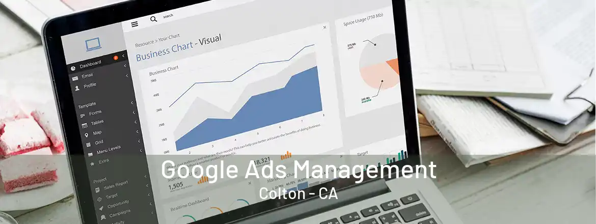 Google Ads Management Colton - CA