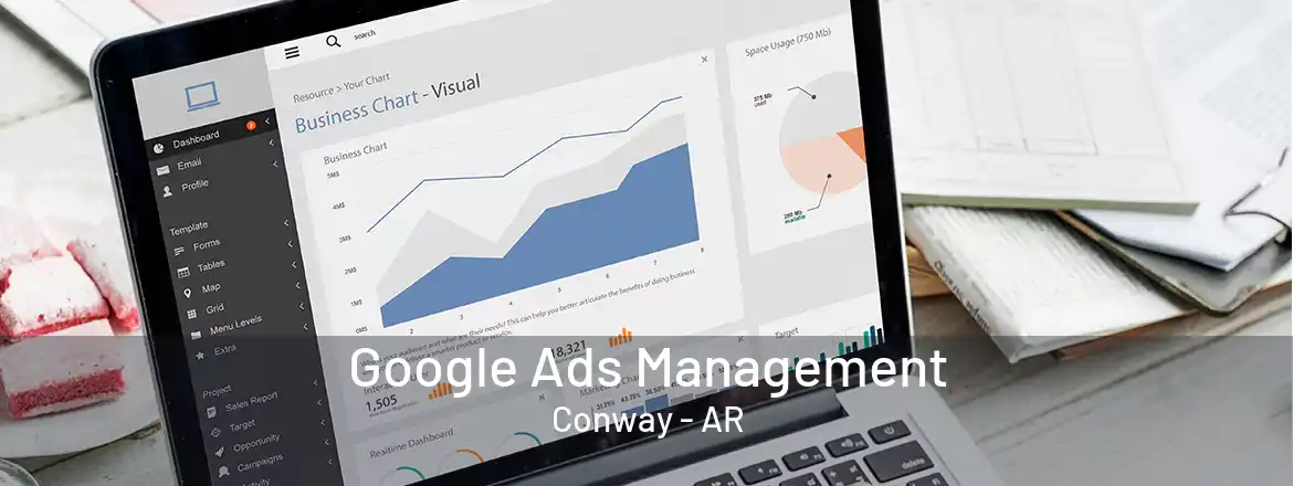 Google Ads Management Conway - AR