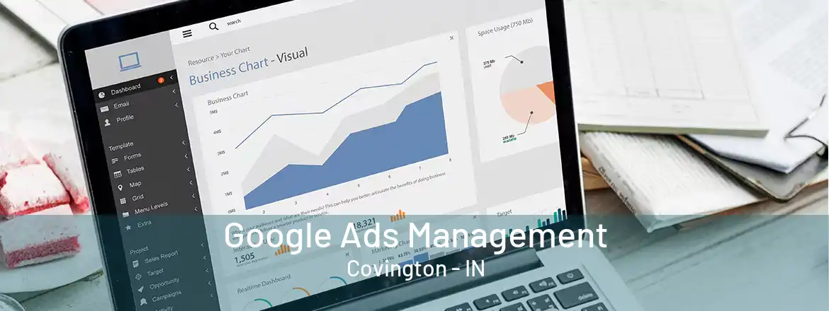 Google Ads Management Covington - IN