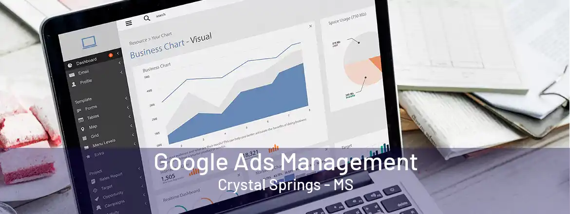 Google Ads Management Crystal Springs - MS