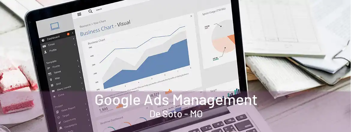 Google Ads Management De Soto - MO