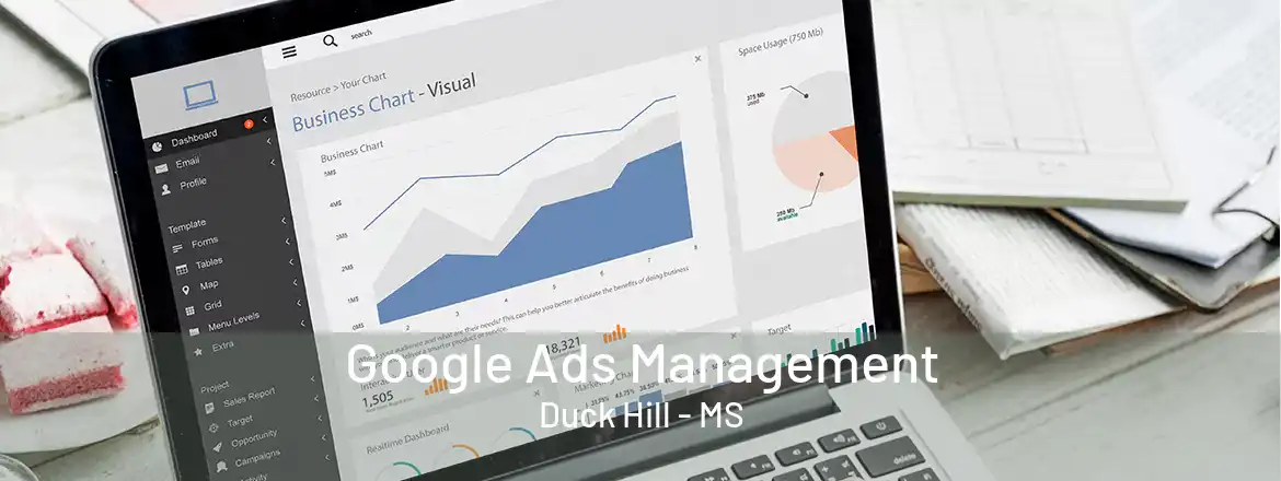 Google Ads Management Duck Hill - MS