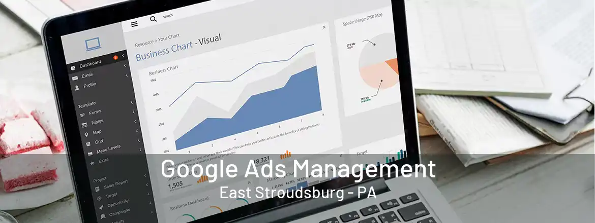 Google Ads Management East Stroudsburg - PA