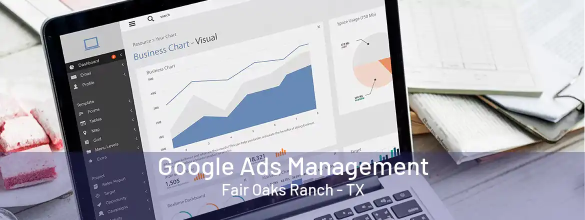 Google Ads Management Fair Oaks Ranch - TX