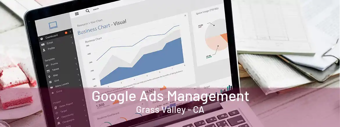 Google Ads Management Grass Valley - CA