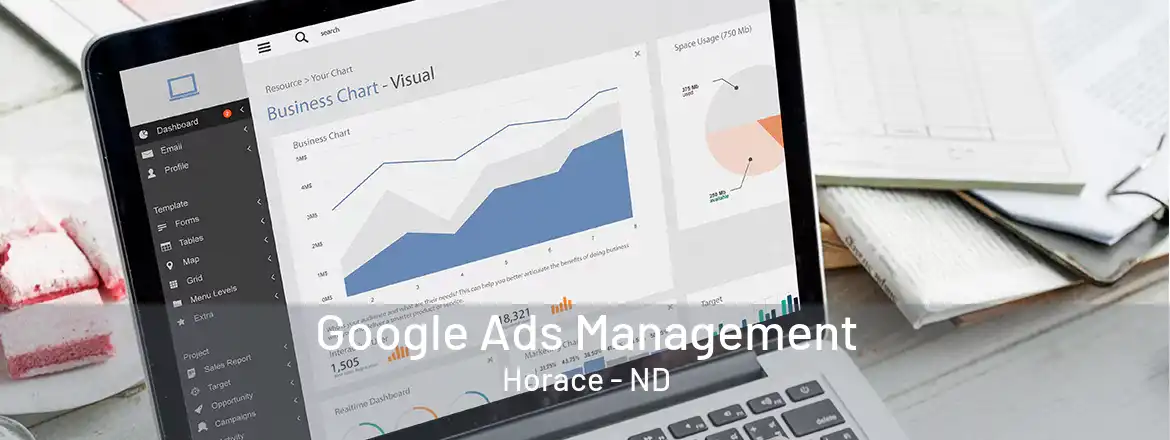 Google Ads Management Horace - ND