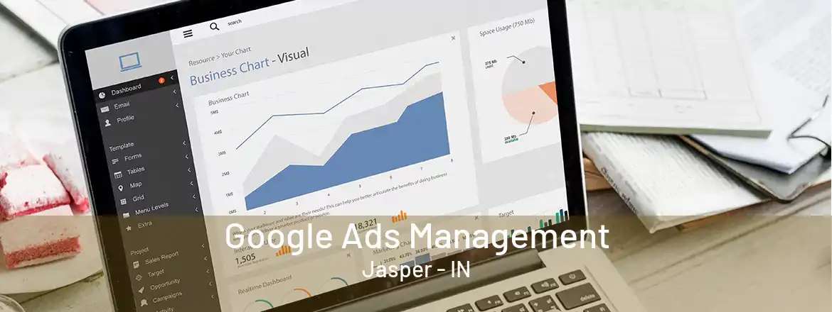 Google Ads Management Jasper - IN