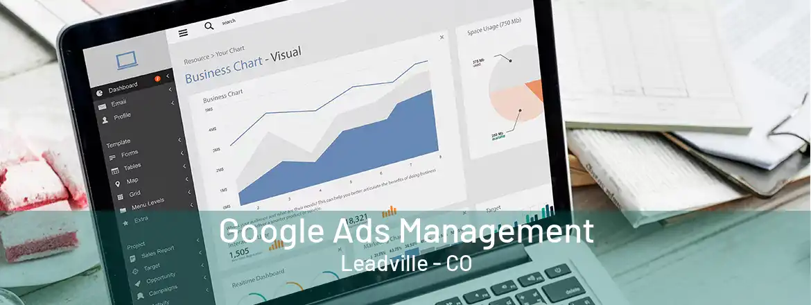  Google Ads Management Leadville - CO