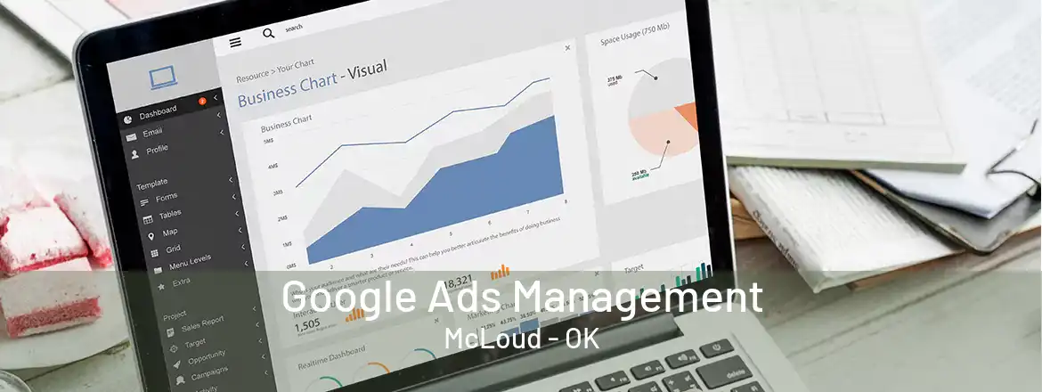 Google Ads Management McLoud - OK