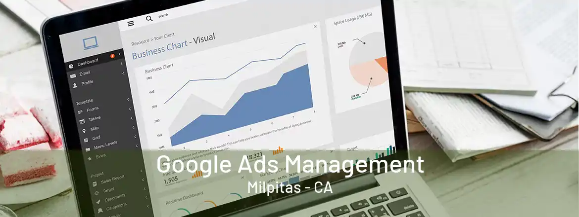 Google Ads Management Milpitas - CA