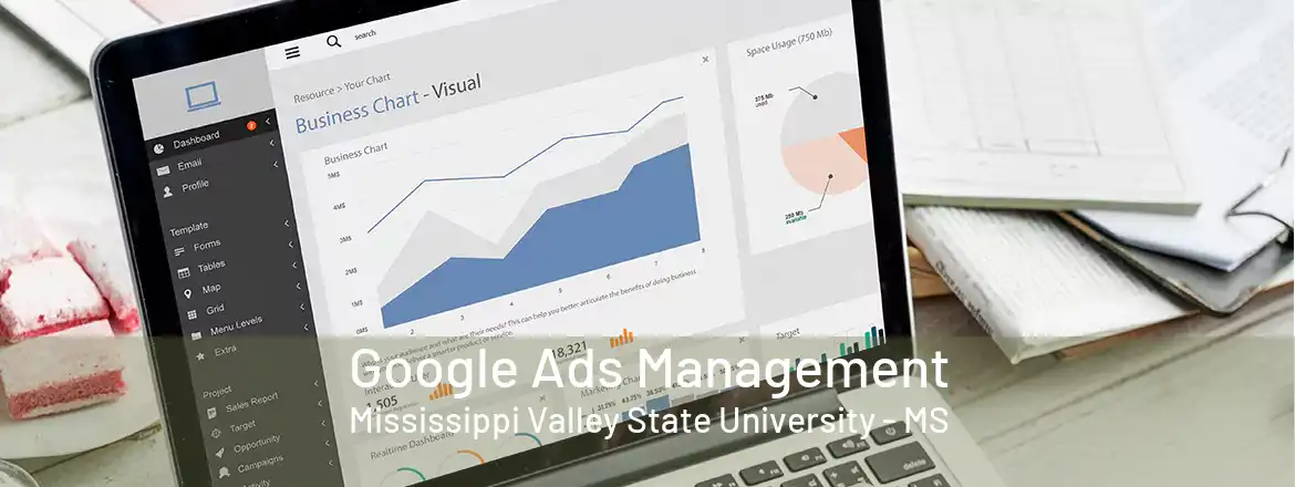 Google Ads Management Mississippi Valley State University - MS