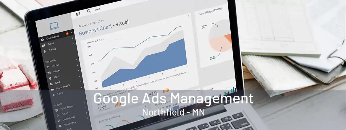 Google Ads Management Northfield - MN