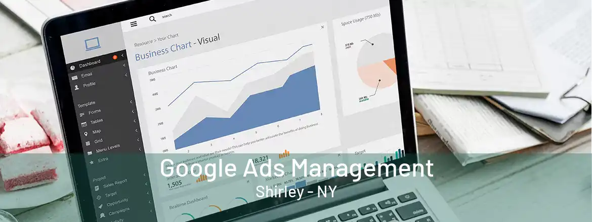  Google Ads Management Shirley - NY