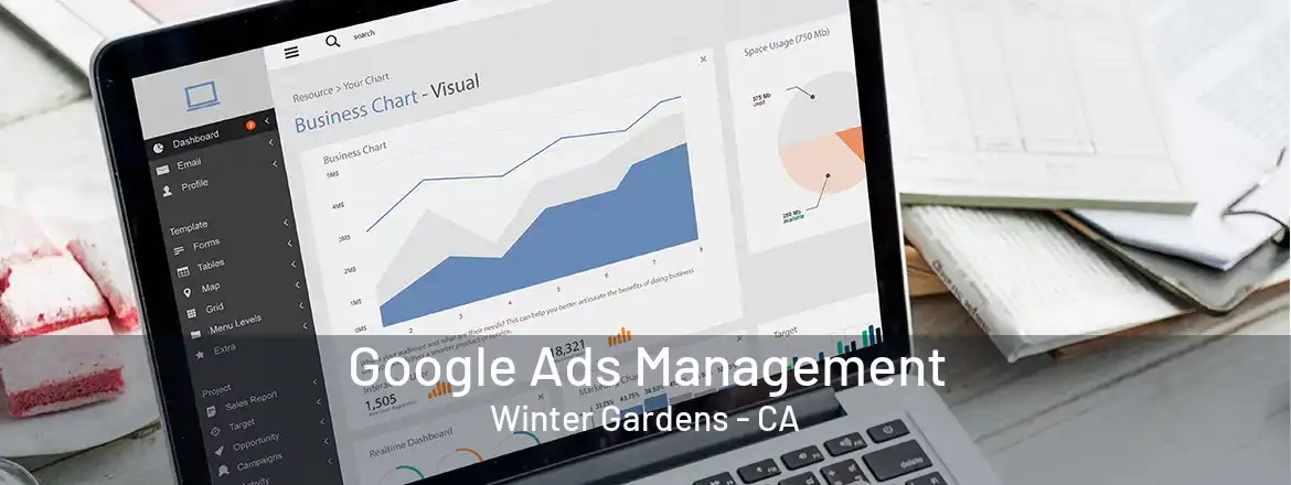 Google Ads Management Winter Gardens - CA