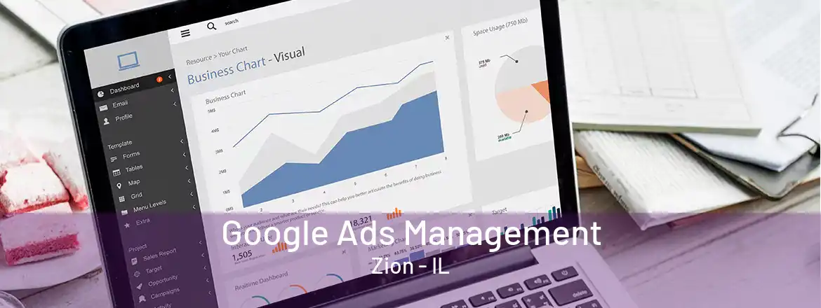 Google Ads Management Zion - IL