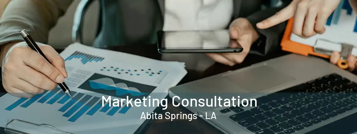 Marketing Consultation Abita Springs - LA