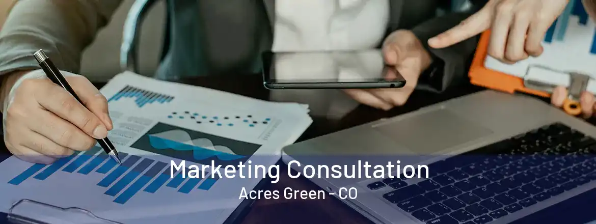 Marketing Consultation Acres Green - CO