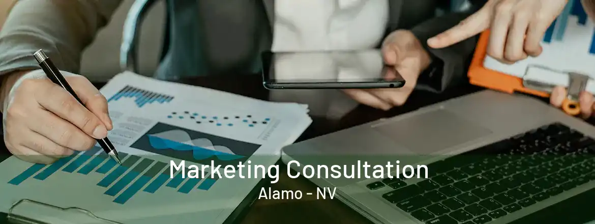 Marketing Consultation Alamo - NV