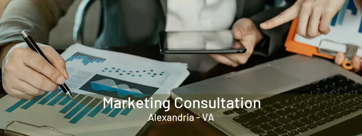 Marketing Consultation Alexandria - VA