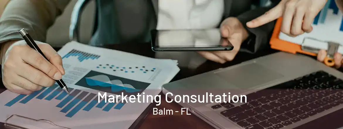 Marketing Consultation Balm - FL