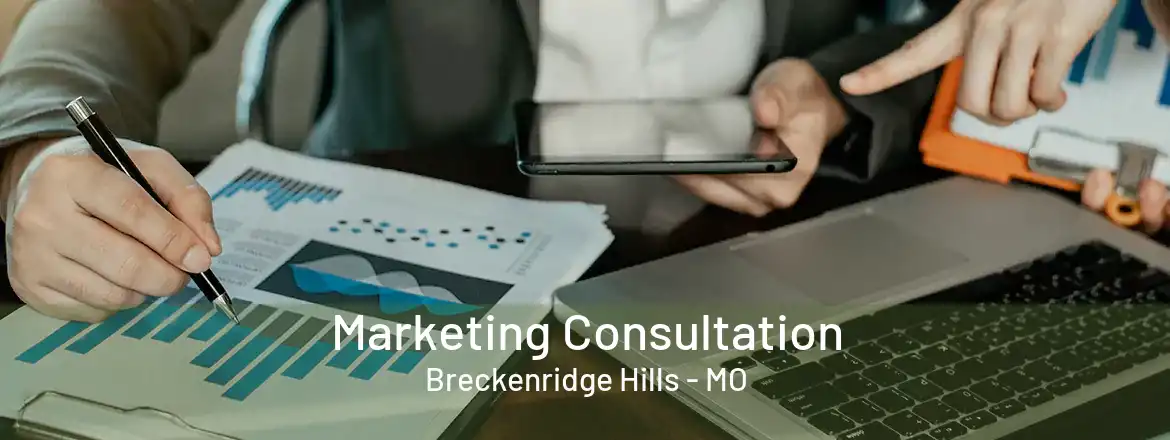 Marketing Consultation Breckenridge Hills - MO