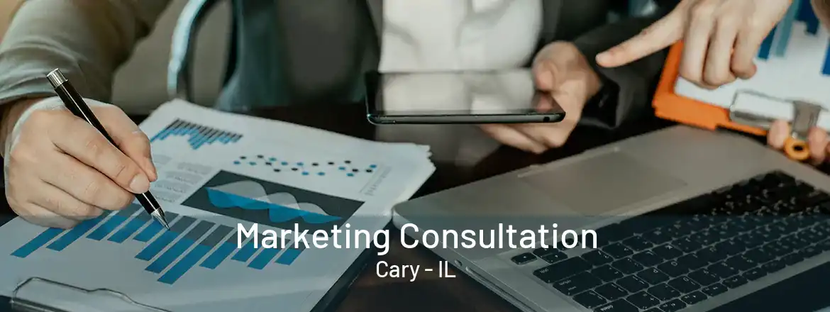 Marketing Consultation Cary - IL