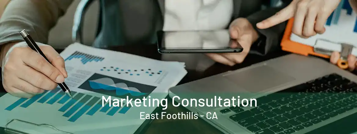 Marketing Consultation East Foothills - CA