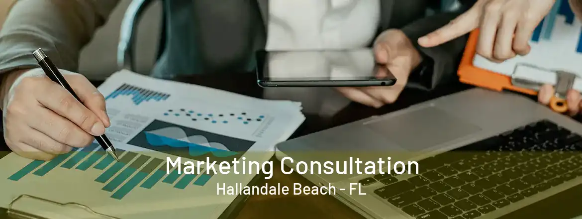 Marketing Consultation Hallandale Beach - FL