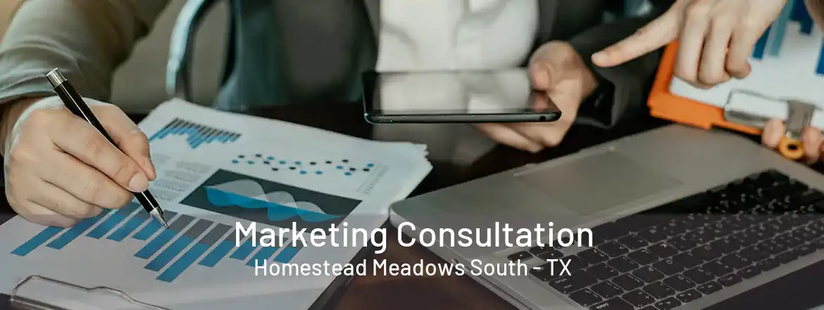  Marketing Consultation Homestead Meadows South - TX