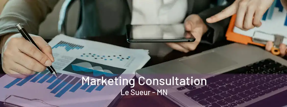 Marketing Consultation Le Sueur - MN