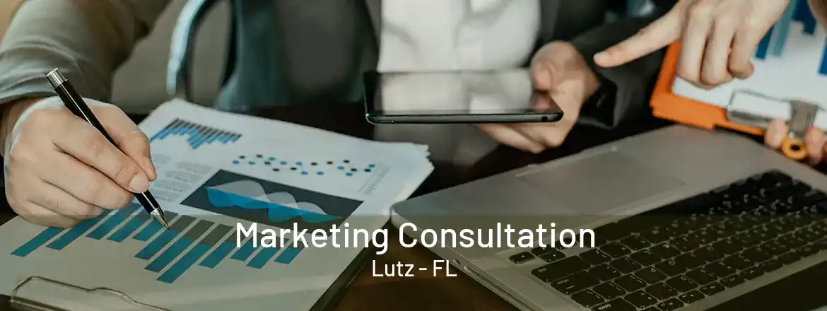  Marketing Consultation Lutz - FL