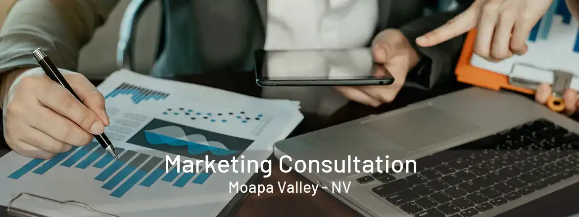 Marketing Consultation Moapa Valley - NV