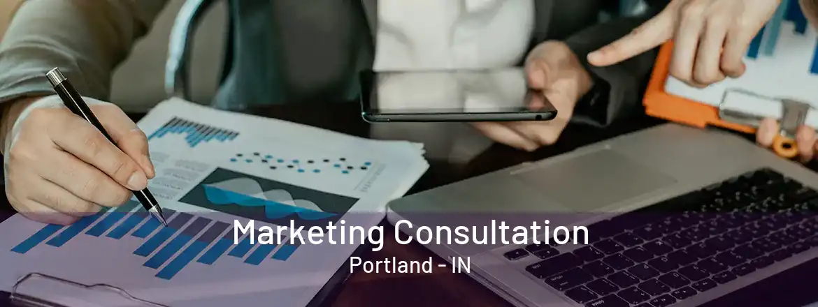 Marketing Consultation Portland - IN