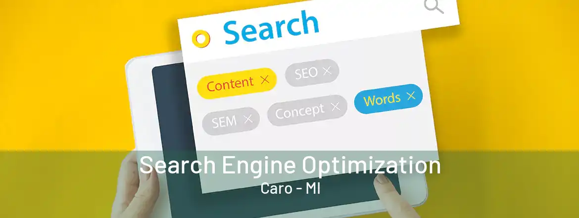 Search Engine Optimization Caro - MI