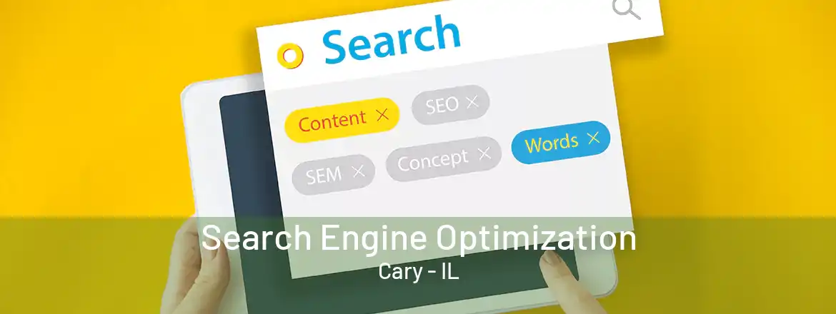 Search Engine Optimization Cary - IL