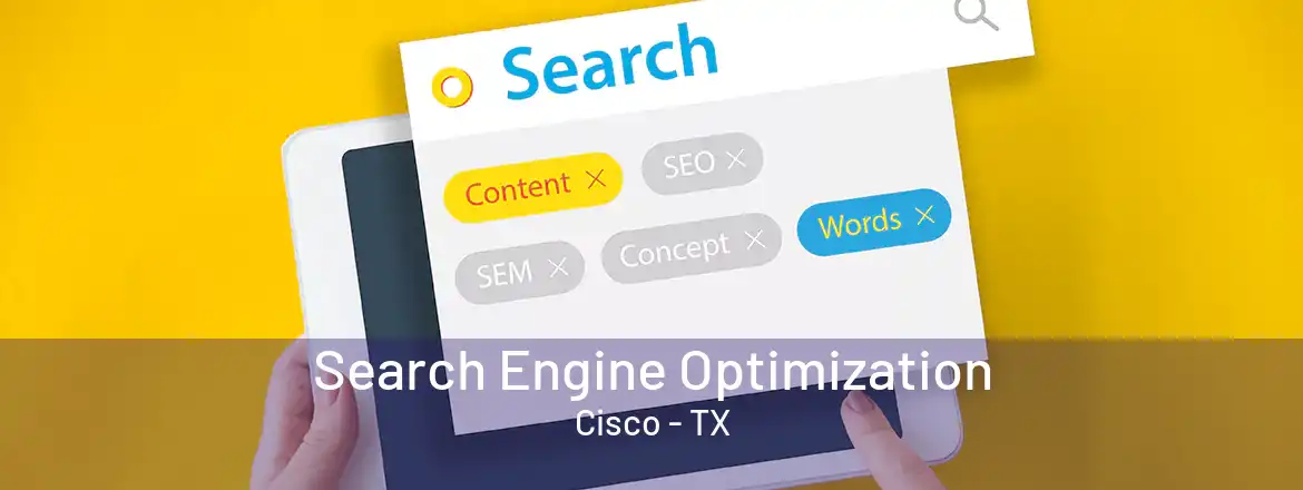 Search Engine Optimization Cisco - TX