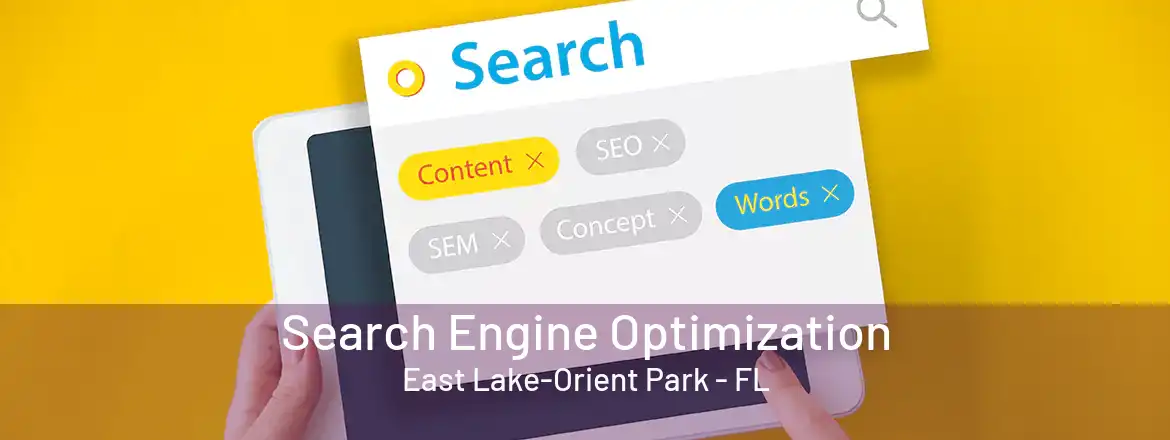 Search Engine Optimization East Lake-Orient Park - FL