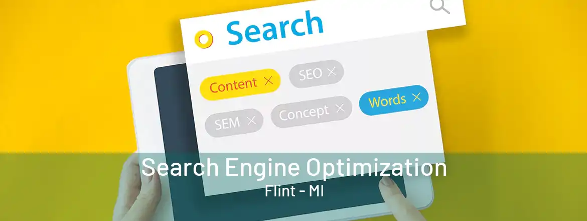 Search Engine Optimization Flint - MI