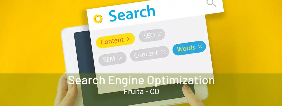 Search Engine Optimization Fruita - CO