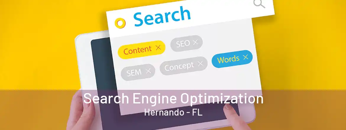 Search Engine Optimization Hernando - FL