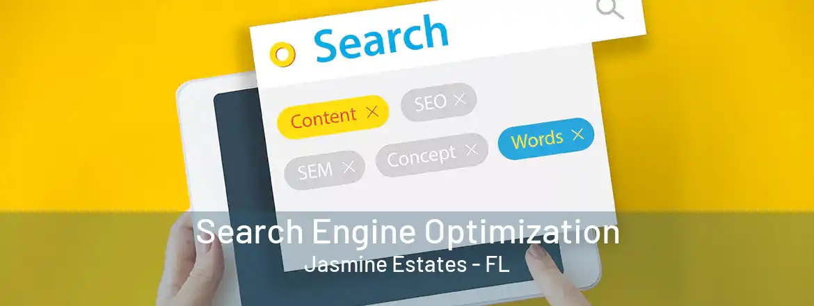 Search Engine Optimization Jasmine Estates - FL