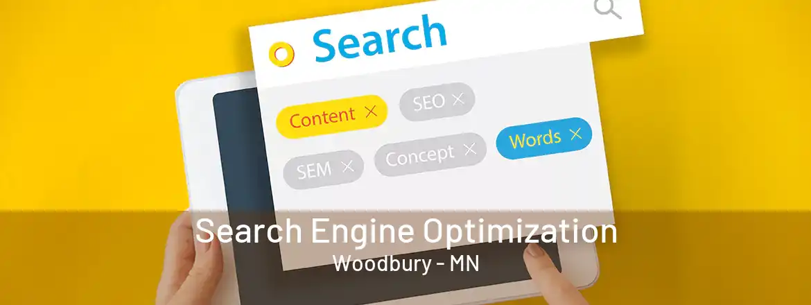 Search Engine Optimization Woodbury - MN